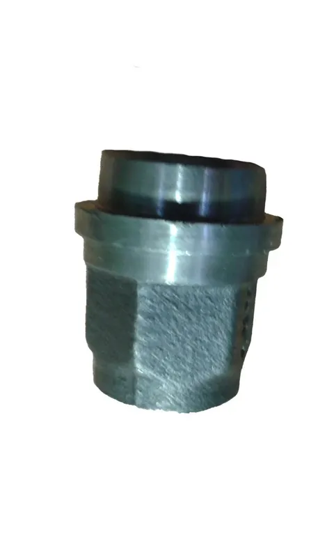 Malleable Fittings 1 W2GE